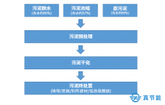 污泥處置詳解：危廢污泥處理的步驟是什么？